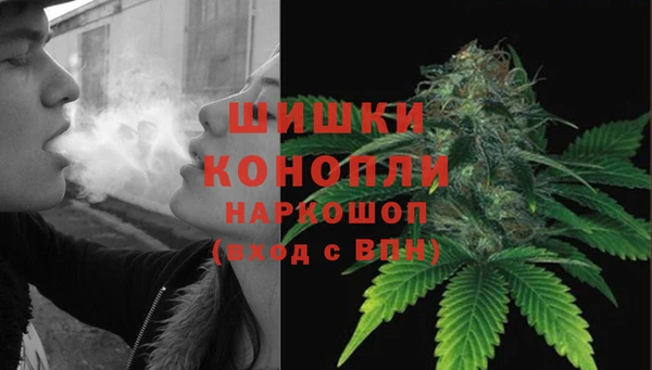 амф Козловка