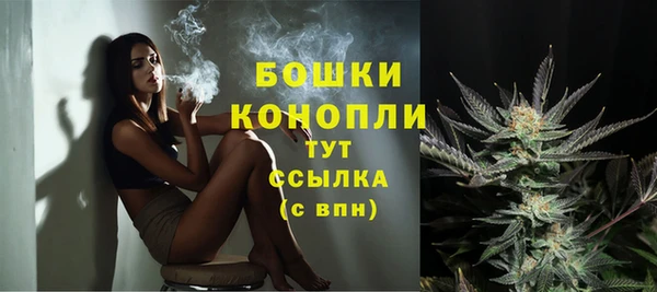 амф Козловка