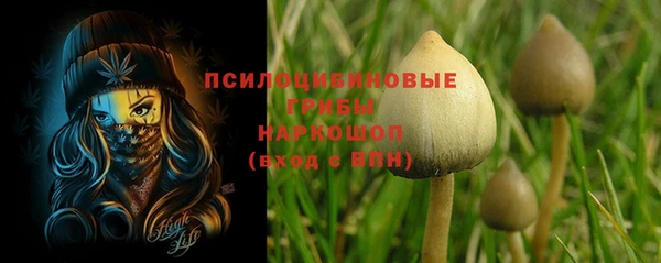 амф Козловка