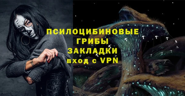 apvp Кодинск
