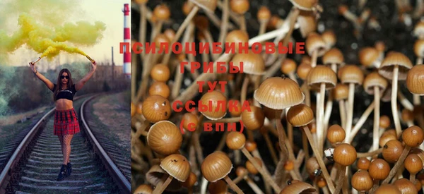мет Козельск