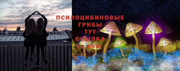 амф Козловка